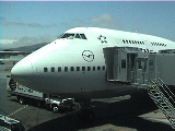 airplane in SF